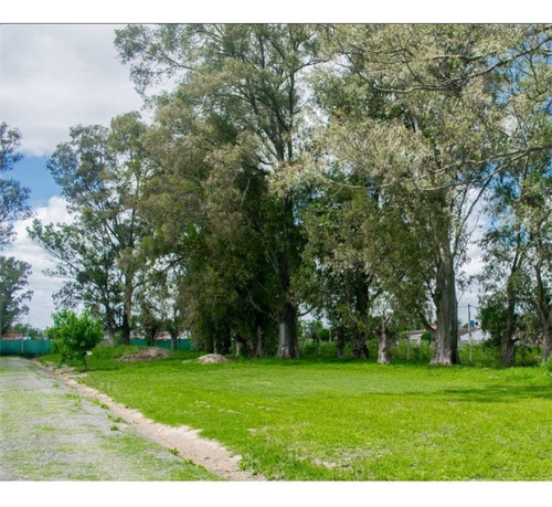 Terrenos/fracciones/loteos Loteos - Venta