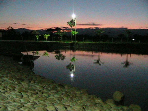 Finca Turistica Melivale En Villavicencio,cabañas
