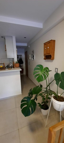 Imagen 2 de 30 de Venta Excelente Departamento La Plata