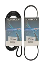Comprar Kit 2 Correas Polyv Dayco Renault Clio Mio 1.2 16v 2014 2015