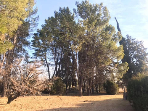 Imagen 21 de 22 de Campo Con Casa Y Galpon De 6 Ha En Villa De Las Rosas