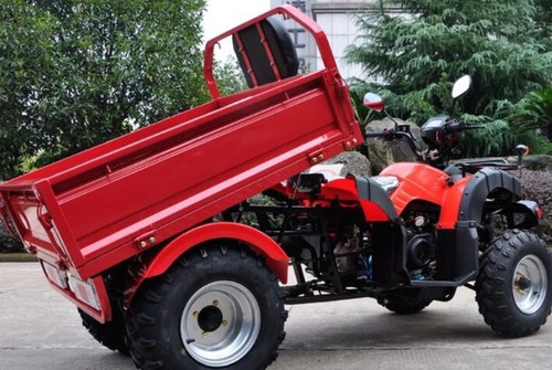 Cuatrimoto Soporta 800 Kg 300cc Homologada