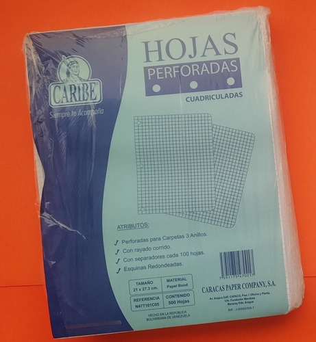 Hojas Perforadas Ponchadas Cuadriculadas Caribe Paquete 500