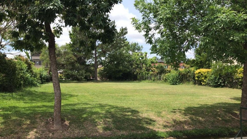 Imagen 4 de 13 de Venta Lote En Septiembre