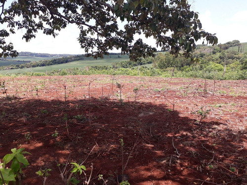 Imagem 11 de 15 de Imobiliária Águia Imperial Vende Sítio Em Céu Azul - Si0001
