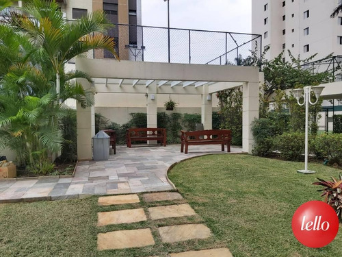 Imagem 21 de 29 de Apartamento - Ref: 237973