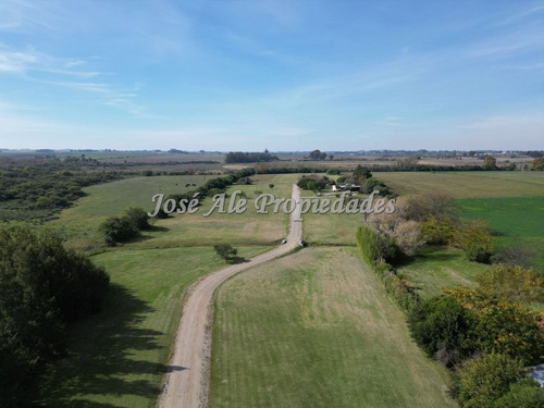 En Venta Chacras De 1 Ha Colonia Del Sacramento
