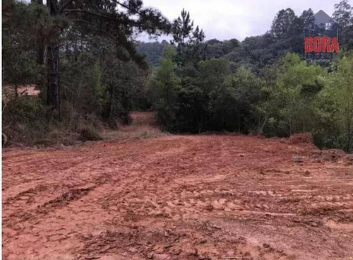 Imagem 15 de 17 de Terreno À Venda, 21405 M² Por R$ 1.200.000 - Campos De Mairiporã - Mairiporã/sp - Te0202