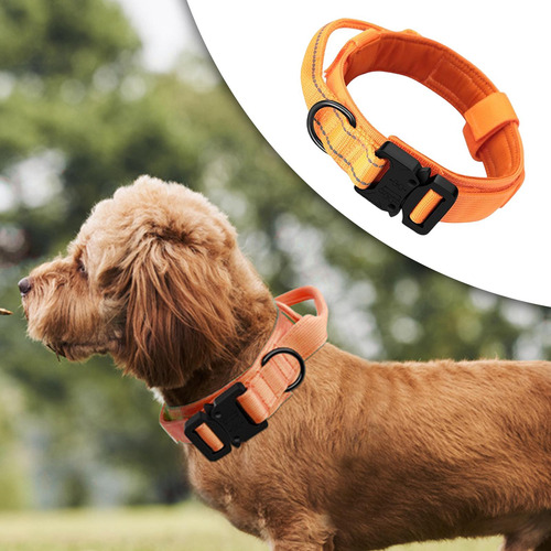Collar De Perro Duradero Con Mango De Control De Xl Naranja
