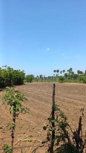 Terreno Totalmente Llano De Oportunidad 