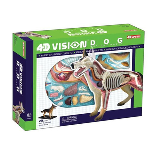 Modelo Anatómico De Perro, Visión 4d, Tedco Toys 26115