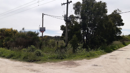 Imagen 2 de 7 de Lote De 20x67.5 En Veronica