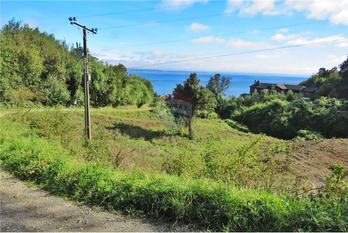 Maravillosa Parcela Con Vista Y Bajada Al Lago