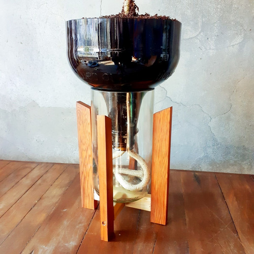 Imagen 8 de 10 de Ficus Benjamina Little Plant 27 Con Soporte, Autorregante
