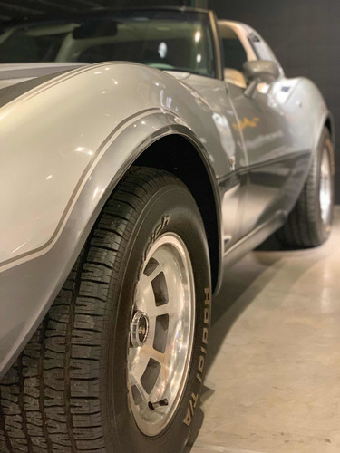 Imagen 5 de 10 de Stingray V8 350 Stingray