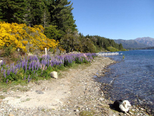 Imagen 5 de 14 de Casa En Bariloche Muelle Costa De Lago. Leer Dispo