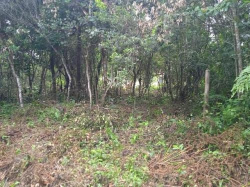 Imagem 3 de 6 de Terreno No Litoral, Aceita R$25mil De Entrada + Parcelas!!