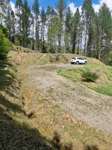 Lote En Venta Con Bosque Y Dos Explanaciones