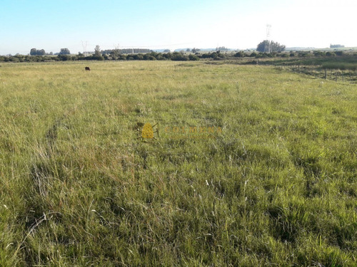 Campo En Ruta 39 - Consulta!!!!!!-ref:3599