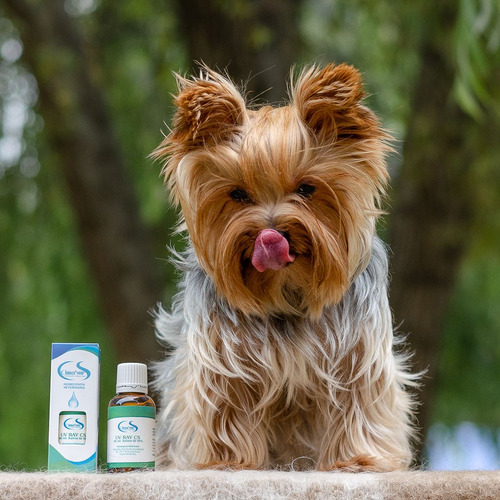 Cimasur - Muces Cs Salud Digestiva Para Perros Y Gatos.