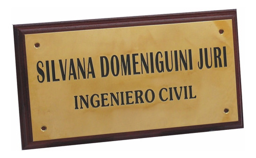 Chapa O Placa Para Profesional Universitario De Bronce Plana