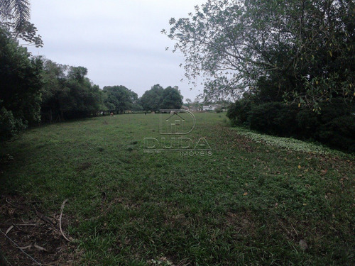 Imagem 3 de 4 de Terreno Comercial - Santa Izabel - Ref: 28789 - V-28787