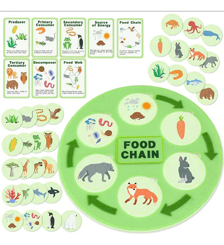 Ciclo De Vida Da Cadeia Alimentar Kit Party Favors Science
