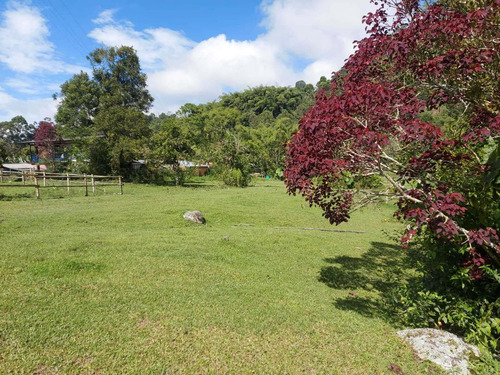 Imagen 24 de 30 de Se Vende Finca 2 Cuadras Salento