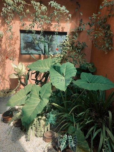 Casa 125m², 3 Dormitorios, 1 Vagas - Vila Mariana - Ca1509