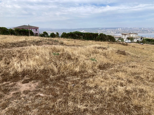 Se Vende 5 Terrenos Condominio Campus Del Mar Quintero