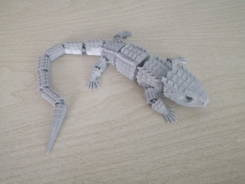 Lagarto Armadillo (espinoso) Articulado