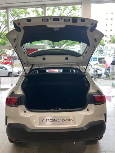 Imagen 9 de 9 de C4 Cactus Feel Manual Financiado