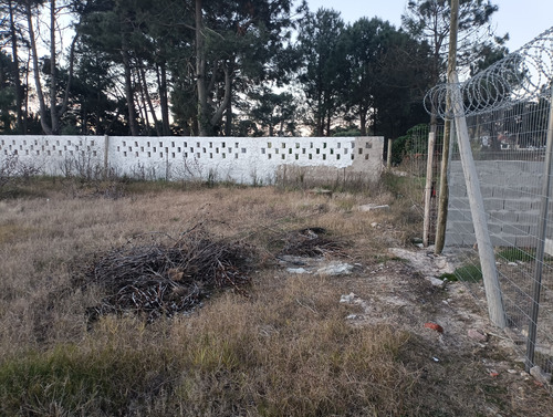 Oportunidad Para Constructores E Inversores En Terreno Unico