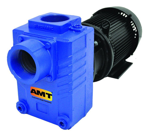 Amt Pump 2874-95 Bomba Centrifuga Autocebante, Hierro Fundid