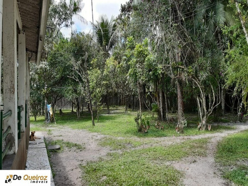 Imagem 18 de 30 de Chácara No Jd. Coronel, Parque Real, Composta De 03 Lotes Com 2.000 M² Cada, Murada, Metragem Total 6.000 M2, Casa Principal: Contruida No Lote 9, Área Construída 220,23m² 03 Dormi - 6143 - 68869065