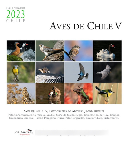 Calendario Aves De Chile 2023. V. Escritorio. Caja Acrílica
