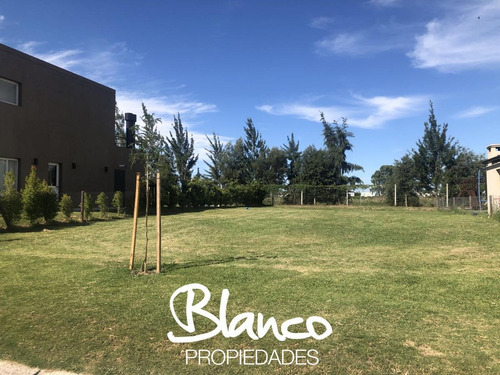 Imagen 2 de 6 de Oportunidad! Muy Lindo Lote De 466 Metros Dentro Del Barrio Las Tipas - Nordelta