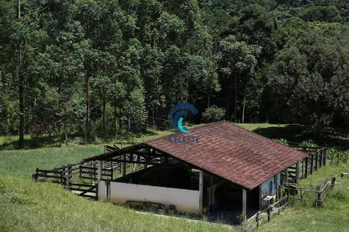 Imagem 1 de 17 de Fazenda Bom Sucesso, Sj Campos - Fa0001