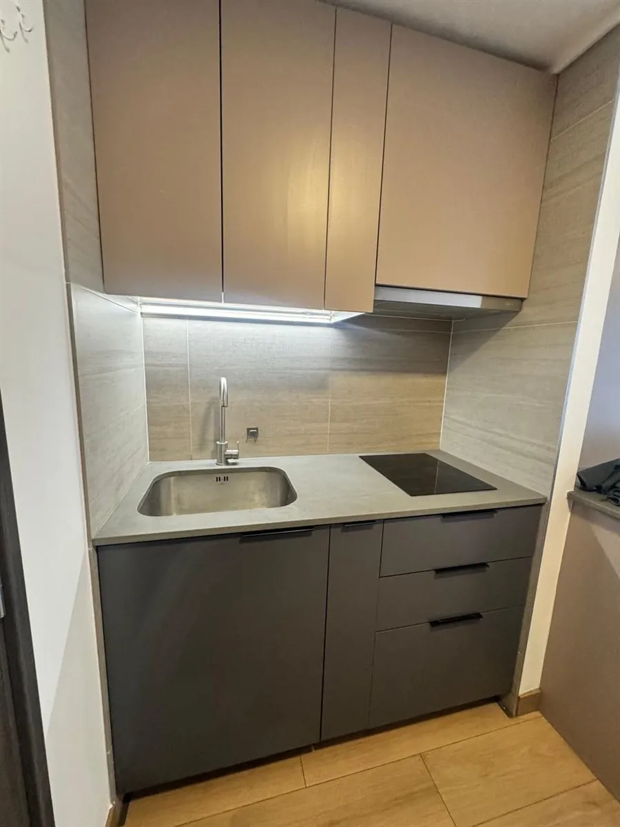 Imagen 2 de 24 de Departamento En Arriendo De 1 Dorm. En Cerrillos