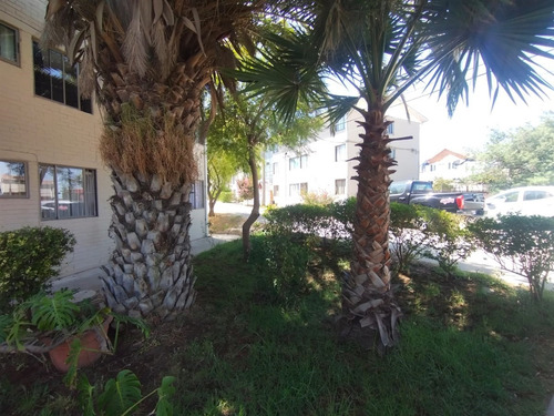 Departamento En Venta En Villa Alemana 2 Dormitorios Oferta