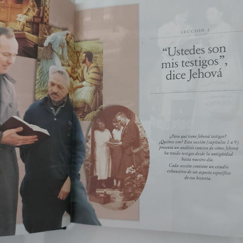 Los Testigos De Jehová (g) (Usado)