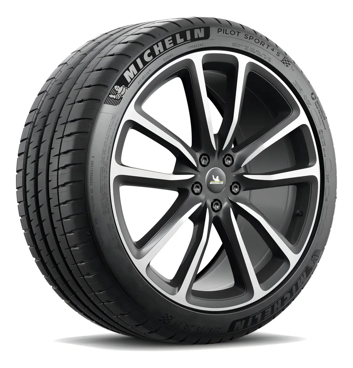 Pneu Michelin Pilot Sport 4s (mo) 295/35 R21 107y