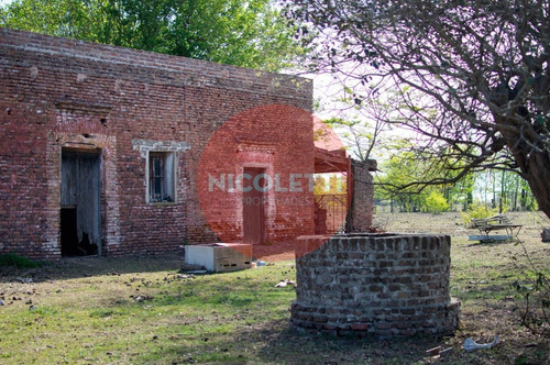 Imagen 17 de 21 de Campo - Chacra De 13,7 Has | Gowland | Mercedes