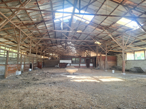 Terreno Con Gran Galpón, Bodegas, Oficinas Y Casa