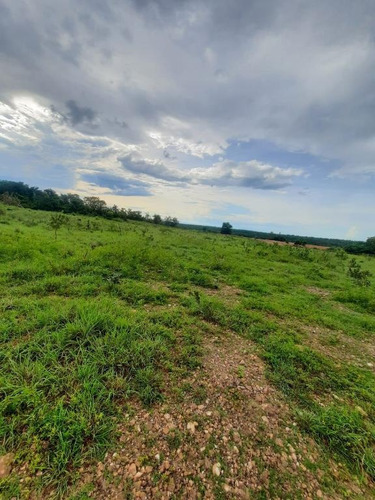 Imagem 13 de 14 de Sítio 25 Hectares - 0034