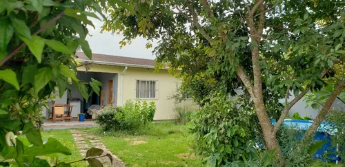 Casa Ampla E Arborizada
