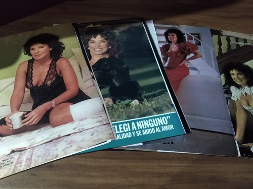 Graciela Borges * Lote 100 Paginas Revistas Clippings (Usado)