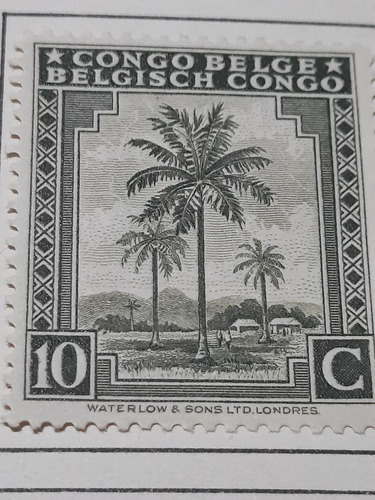 Estampilla Congo 2119 A1