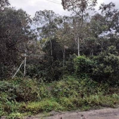 Imagem 4 de 4 de Terreno Com Entrada De 5 Mil Reais - Itanhaém 7213 | Sanm