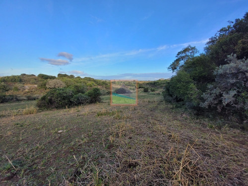 Imagen 14 de 26 de 70 Hectáreas De Campo Ganadero Corte De La Leña